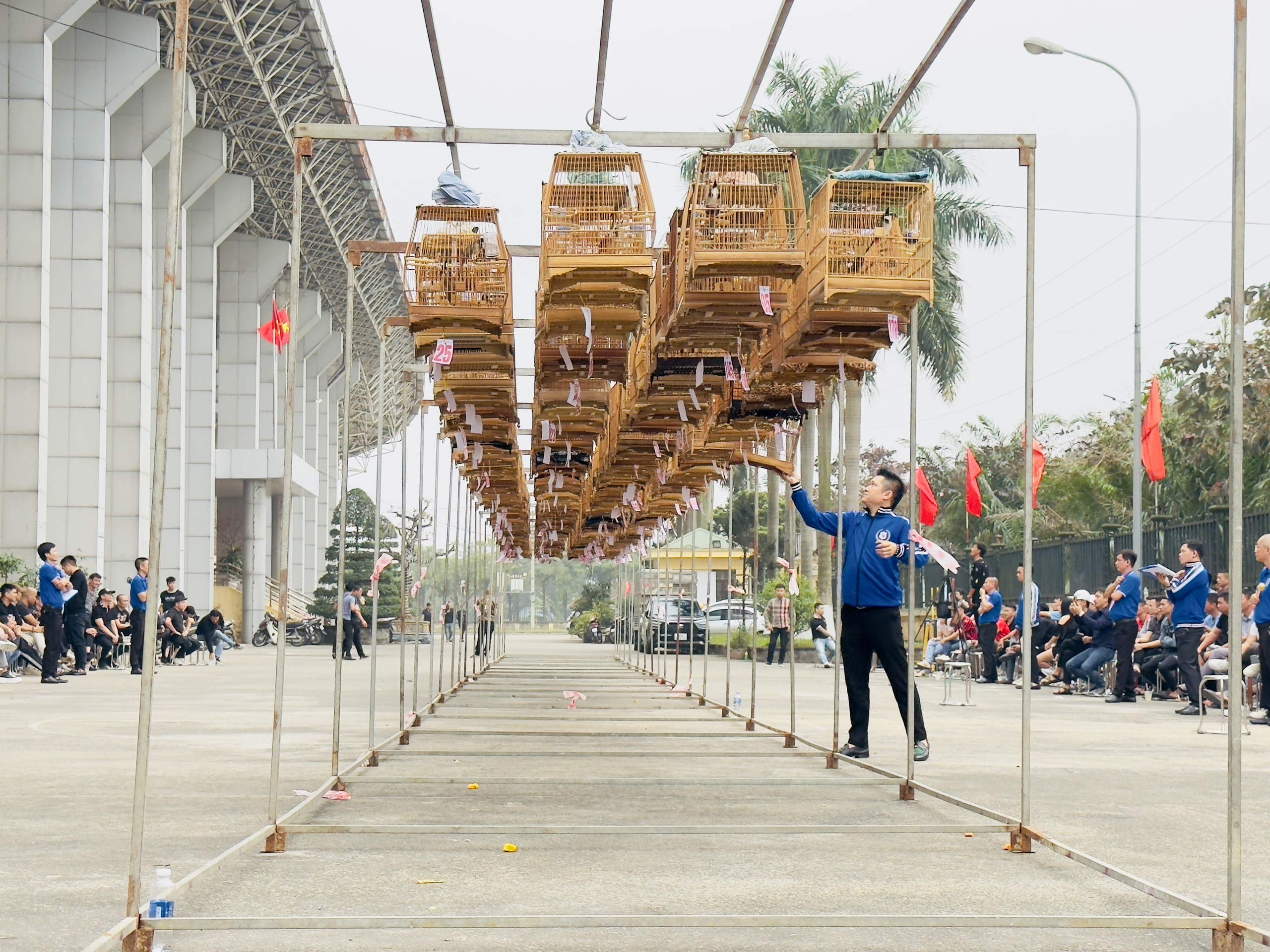 326 lồng chim chào mào hót đấu quy tụ tại giải đấu lớn nhất miền Bắc từ trước đến nay. Ảnh: Phúc Thịnh.