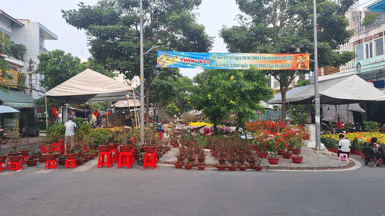 Khu trưng bày bonsai của các nhà vườn tại Công viên Làng Hoa Gò Vấp và tuyến đường Phạm Huy Thông: