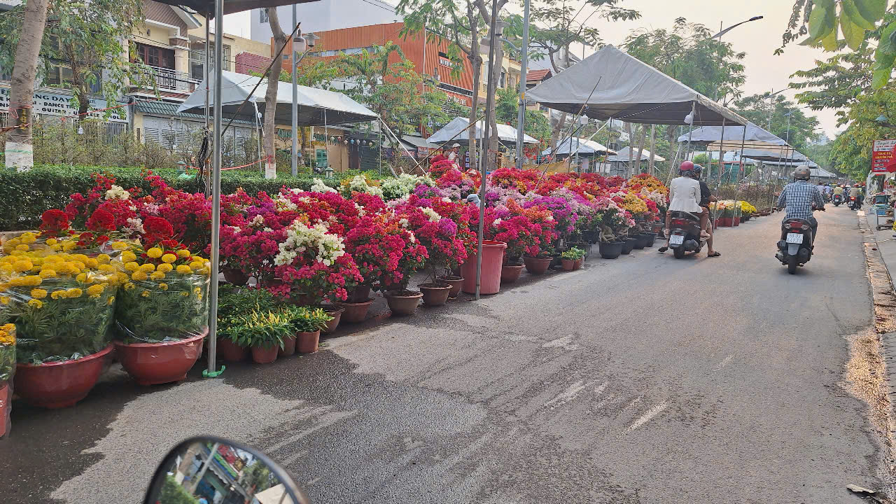 Khu trưng bày hoa kiểng của các nhà vườn tại Công viên Làng Hoa Gò Vấp và tuyến đường Phạm Huy Thông: