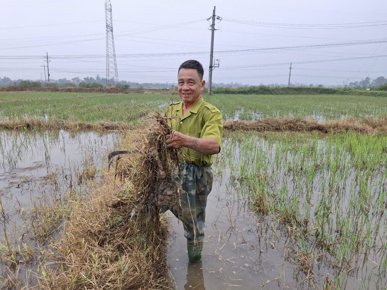 Hà Tĩnh: Mối nguy lạm dụng thuốc diệt cỏ đã được khuyến cáo