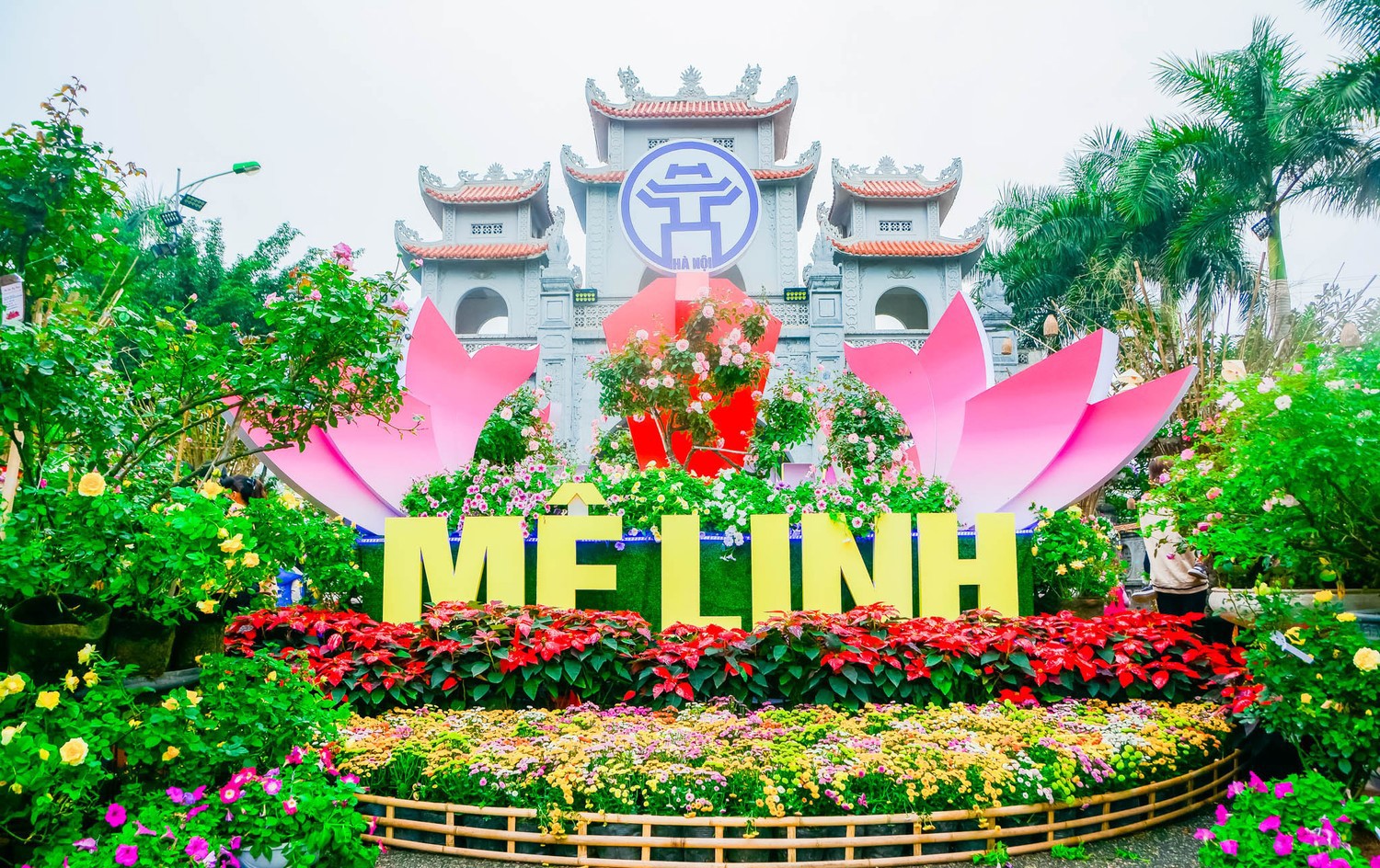 Sắp diễn ra Festival hoa Mê Linh lần thứ 2 năm 2024