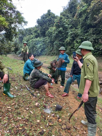 Hà Tĩnh: Tăng cường ngăn chặn săn bắt, bẫy thú rừng trái phép