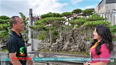 Tham quan nhà vườn Văn Mười tại phường Ninh Khánh, Ninh Bình 