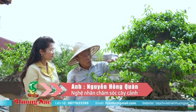 Chia sẻ kinh nghiệm của nghệ nhân Nguyễn Hồng Quân để tạo ra những tác phẩm đẹp