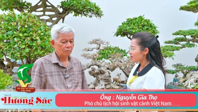 Thị trường Sinh vật cảnh - Ý kiến chuyên gia