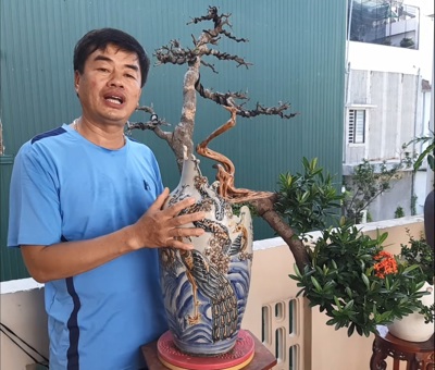 Chia sẻ cách cắt chậu Bonsai từ bình gốm sứ