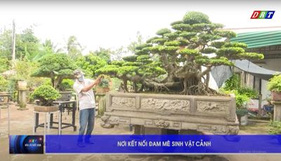 Kết nối đam mê Sinh vật cảnh