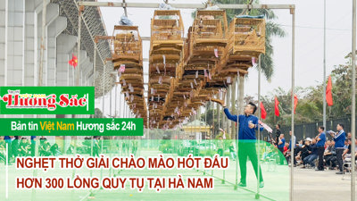 Hội thi chim chào mào giúp quảng bá hình ảnh địa phương