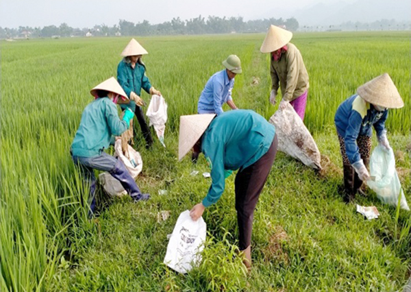 Giảm thiểu ô nhiễm từ rác thải bao bì hóa chất thuốc bảo vệ thực vật