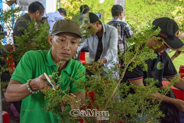 Những nét mới trong hoạt động của Hội SVC Cà Mau