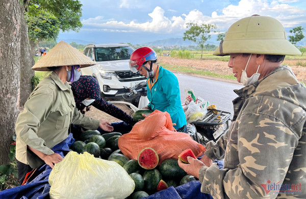 Hơn 2 tháng trồng dưa hấu, một xã ở Nghệ An thu trên 40 tỷ đồng