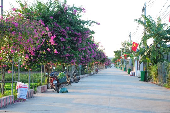 Du lịch sinh thái nông thôn khởi sắc tại địa phương ngoại thành Hà Nội