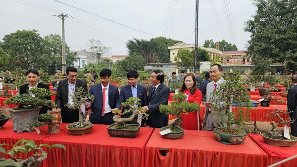 Triển lãm SVC lần thứ 2 của hội SVC xã Vạn Thắng Ba Vì Hà Nội 