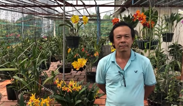 Hướng dẫn để Cattleya Nữ hoàng dễ ra hoa