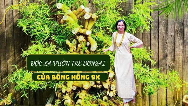  Bonsai tre và câu chuyện về bản lĩnh người phụ nữ Việt Nam