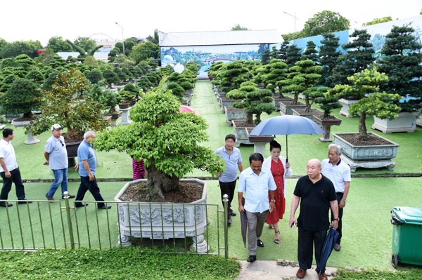 Tích cực tuyên truyền thực hiện Chương trình phát triển du lịch nông thôn trong xây dựng nông thôn mới 