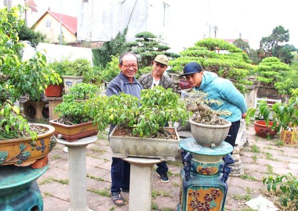 “Có cho vài triệu một ngày và bảo đổi nghề thì tôi cũng không”