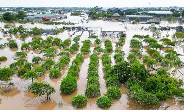 Hội Sinh vật cảnh Việt Nam kêu gọi ủng hộ đồng bào vùng bị thiên tai