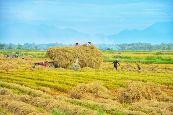 Mùa đông- Tài nguyên vô giá