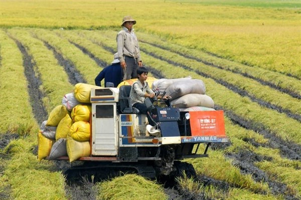 Cơ hội hợp tác, đầu tư trong lĩnh vực nông nghiệp thông minh