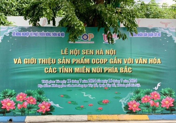 Các giải pháp để phát huy giá trị sen Việt