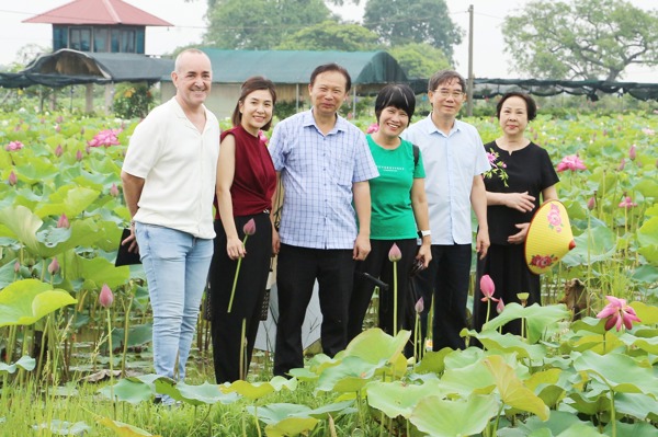 Hợp tác xã hoa sen Vân Đài – Sáng bừng một vùng quê lúa