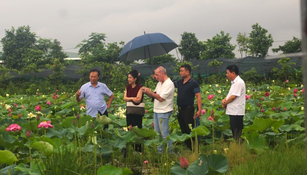 Việt Nam là thị trường tiềm năng lớn để phát triển ngành hoa