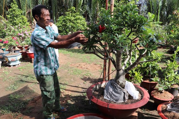 Cựu chiến binh thu nhập tiền tỉ mỗi năm từ kinh doanh sinh vật cảnh