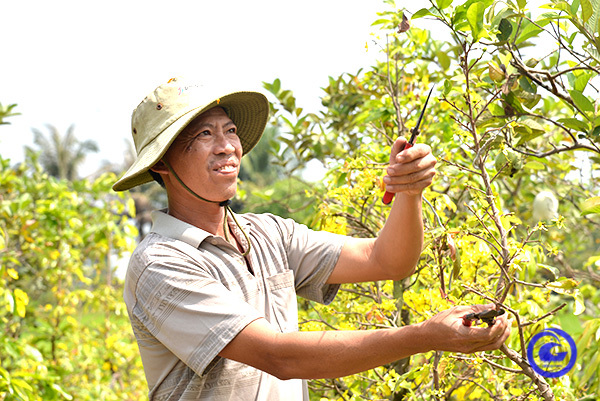 Sinh vật cảnh - Mang lại giá trị tinh thần lẫn vật chất