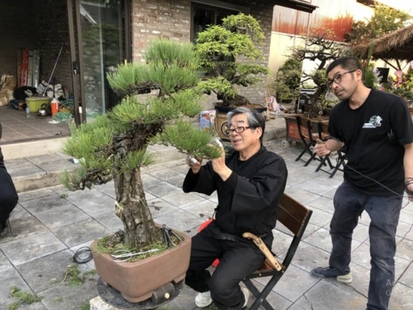 Nghệ nhân bonsai Nhật Bản Kunio Kobayashi - Bonsai là cuộc sống của tôi