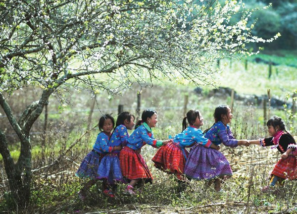 Lòng xuân phơi phới, ý xuân ngọt ngào