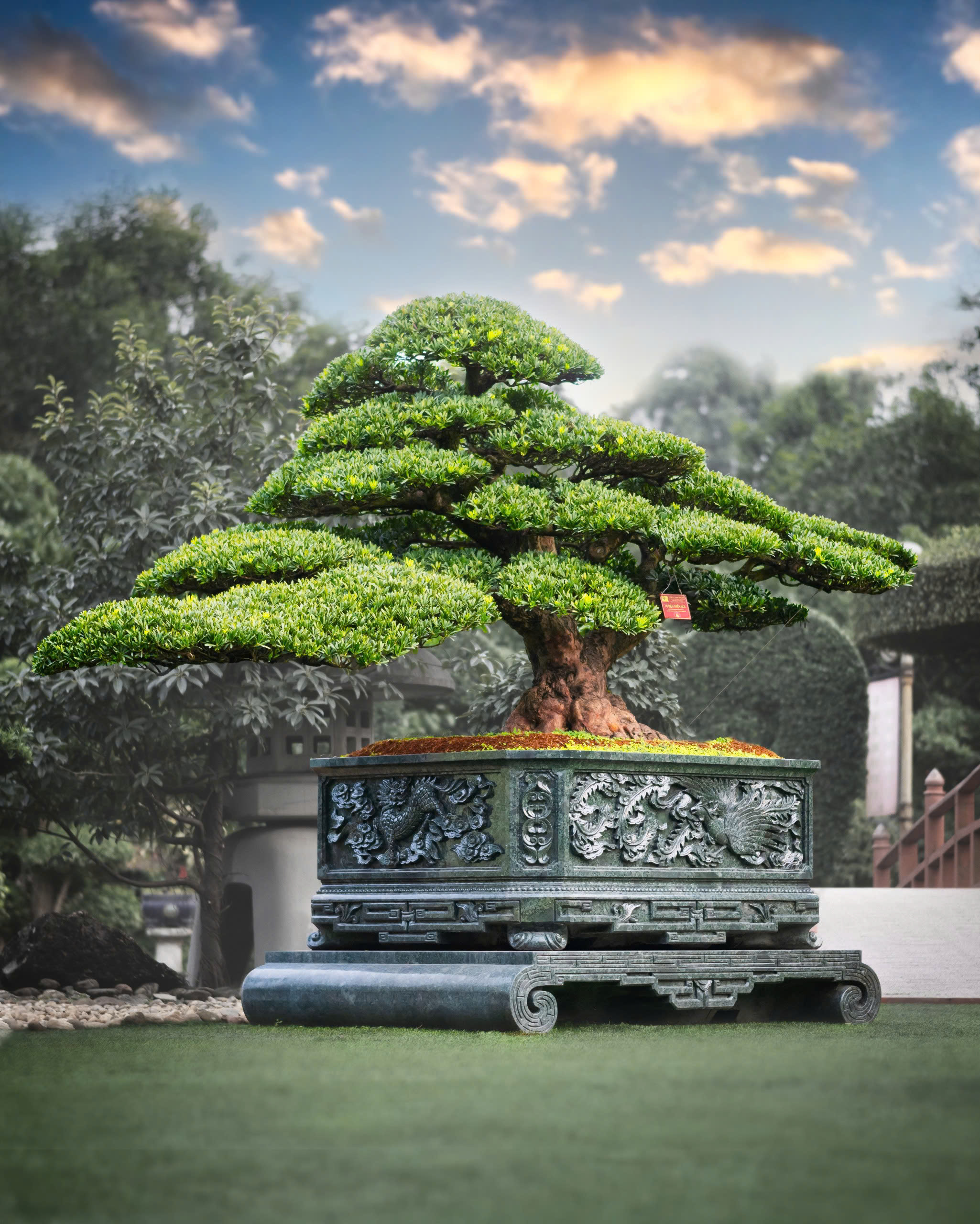 banner-tree