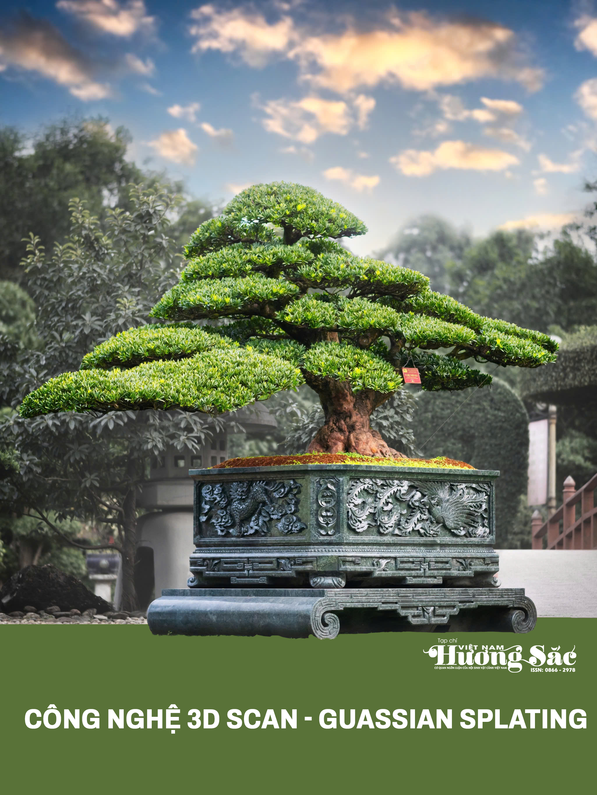 banner-tree-qc-sky-right-300x