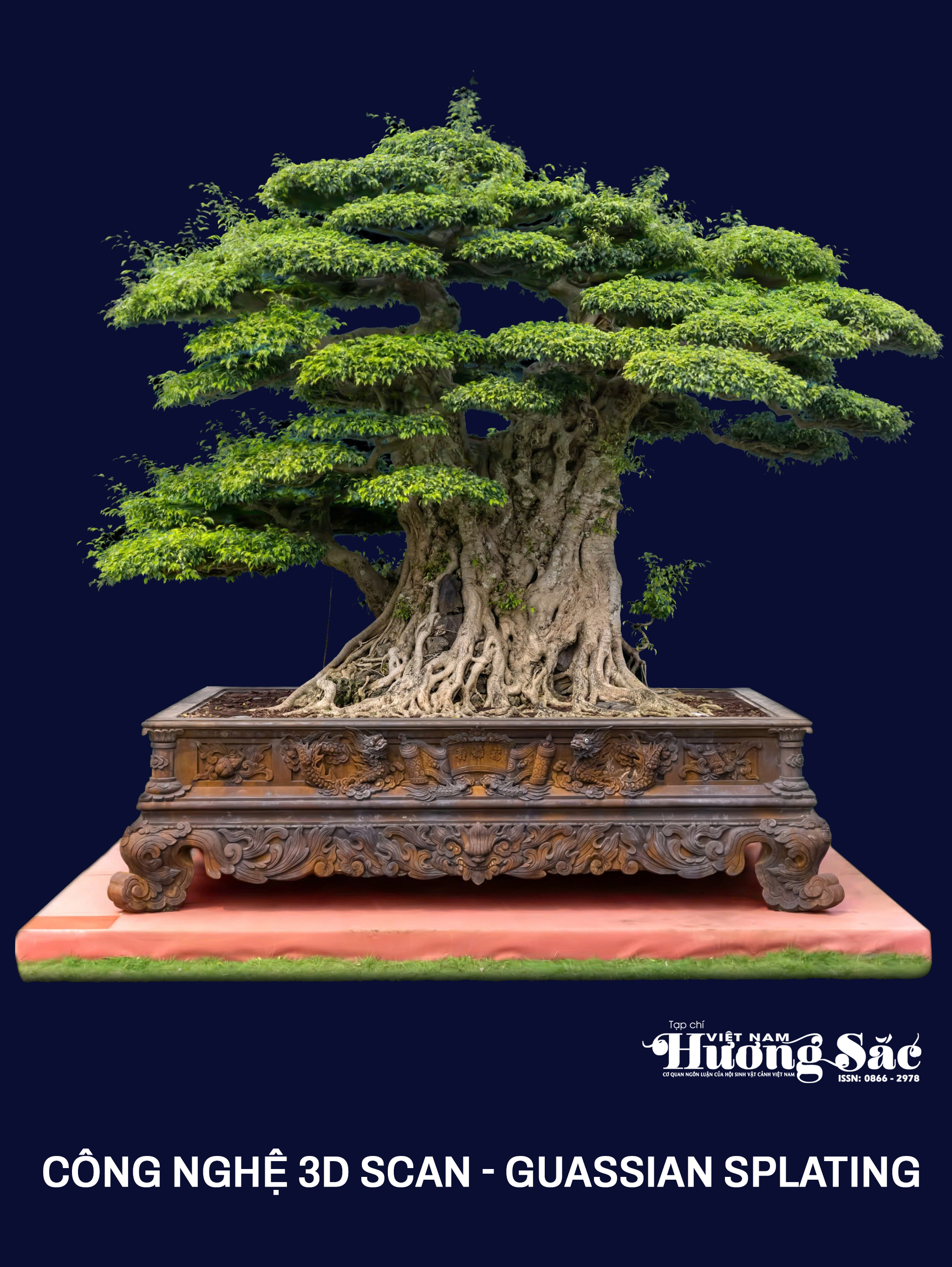 banner-tree-qc-sky-left-300x