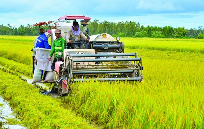 Tối ưu hóa vật tư nông nghiệp: Chìa khóa cho nền nông nghiệp bền vững