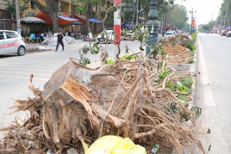 Phúc Yên, Vĩnh Phúc: Cần chú trọng gìn giữ lá phổi xanh trong hoạt động chỉnh trang đô thị