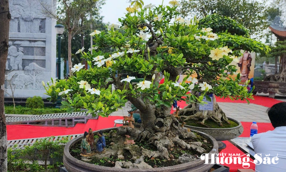 Bổ sung cho không gian nghệ thuật sinh vật cảnh là sự góp mặt của các nhà vườn, nghệ nhân đến từ nhiều tỉnh, thành trong cả nước.