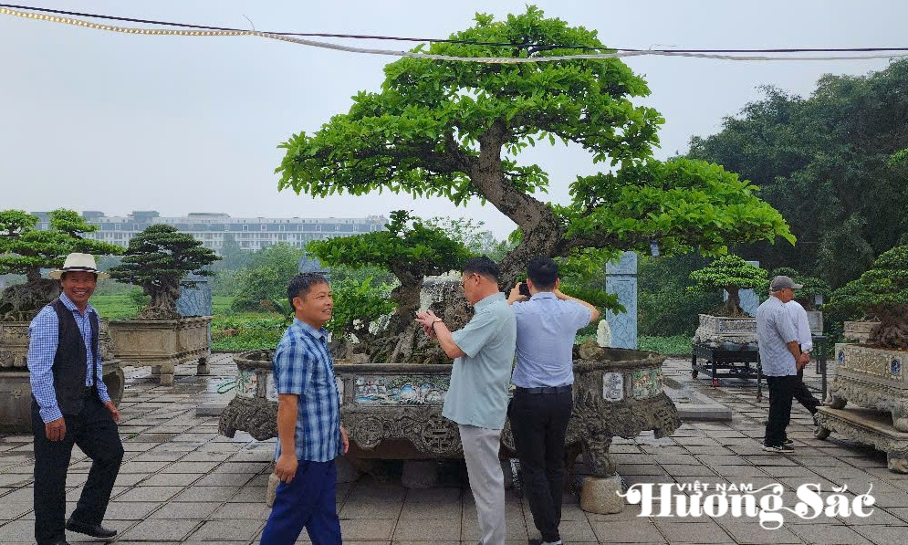 Triển lãm không chỉ là nơi trưng bày những tác phẩm nghệ thuật cây, đá, hoa lan mà còn mở ra những hướng đi mới trong chiến lược phát triển sinh vật cảnh bền vững tại địa phương.