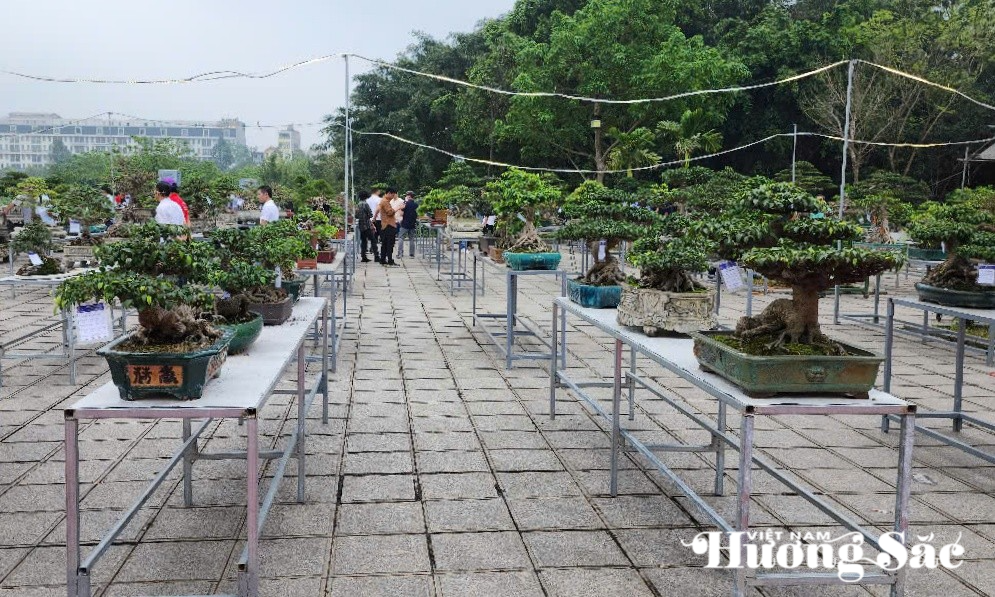 Hơn 380 tác phẩm đá cảnh, sinh vật cảnh, hoa lan... đã được tuyển chọn kỹ lưỡng và trình diễn tại khu vực trưng bày ngay trong khuôn viên Đền Đô linh thiêng.