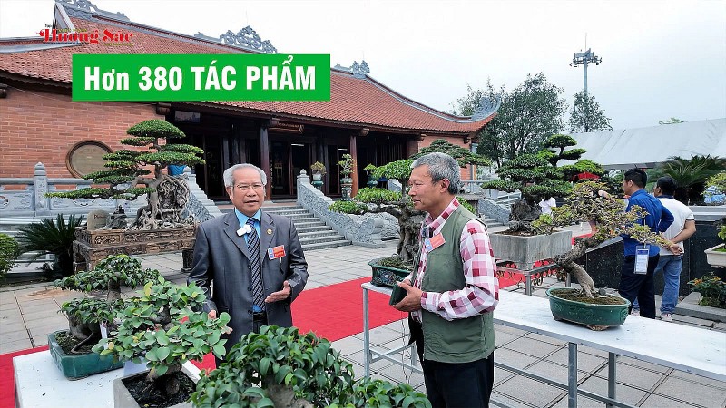 Hơn 380 tác phẩm có mặt tại Triển lãm Sinh vật cảnh Đền Đô 2025
