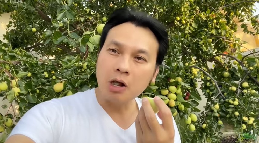 NSƯT Kim Tiểu Long thường xuyên đăng tải các video về nhà vườn của mình.