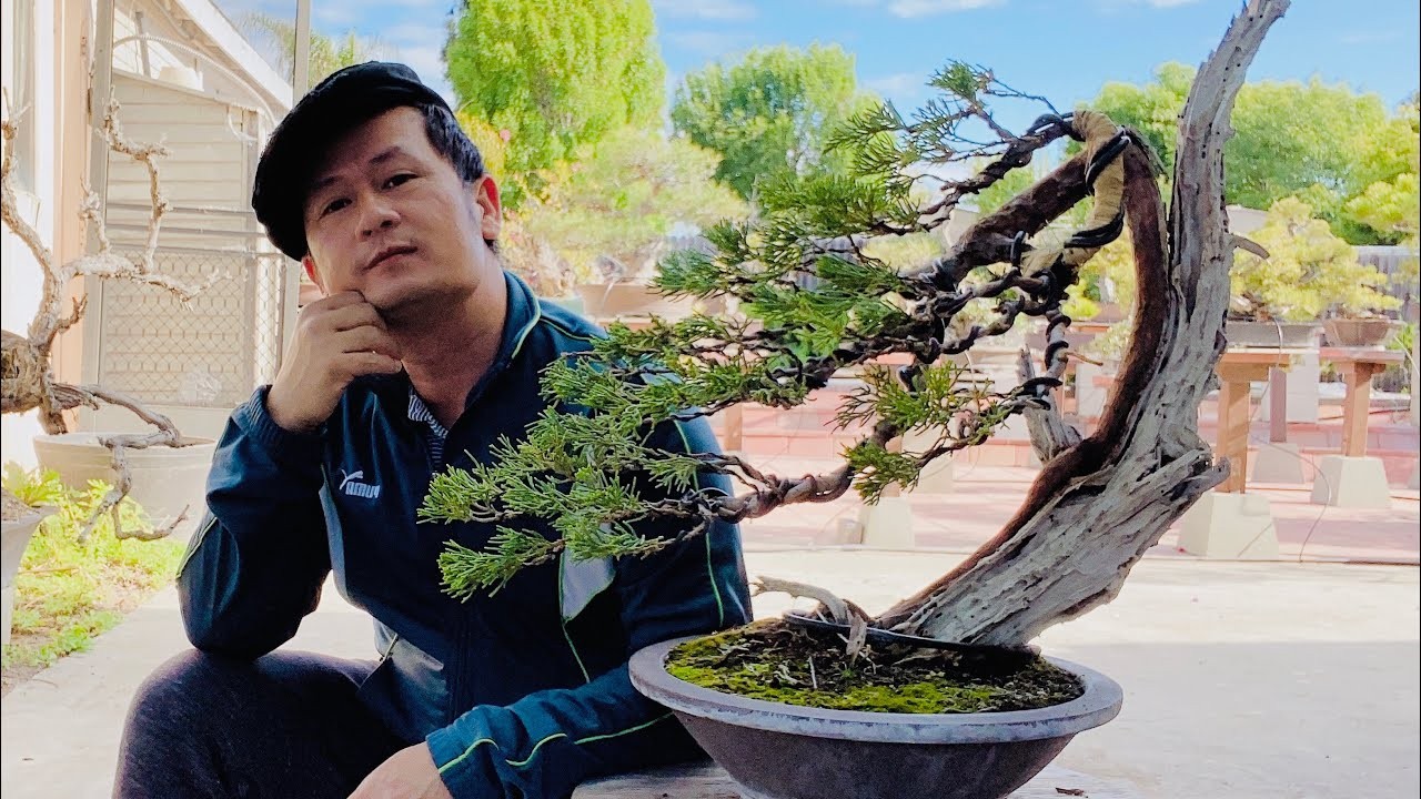 Ca sĩ Bằng Kiều là 1 tay chơi kiểng có tiếng trong giới nghệ sĩ