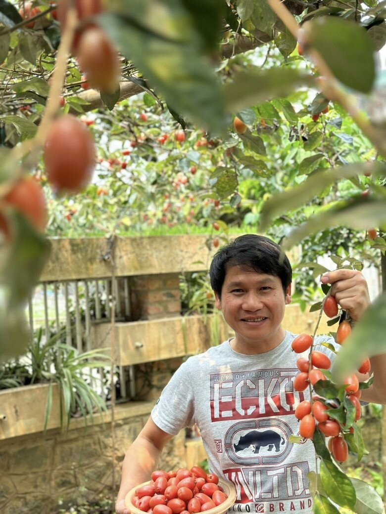 Dàn cây sai quả nhà ca sĩ Trọng Tấn.