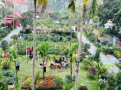 Khu vườn rực rỡ sắc hoa của người đàn ông 73 tuổi ở Bắc Giang