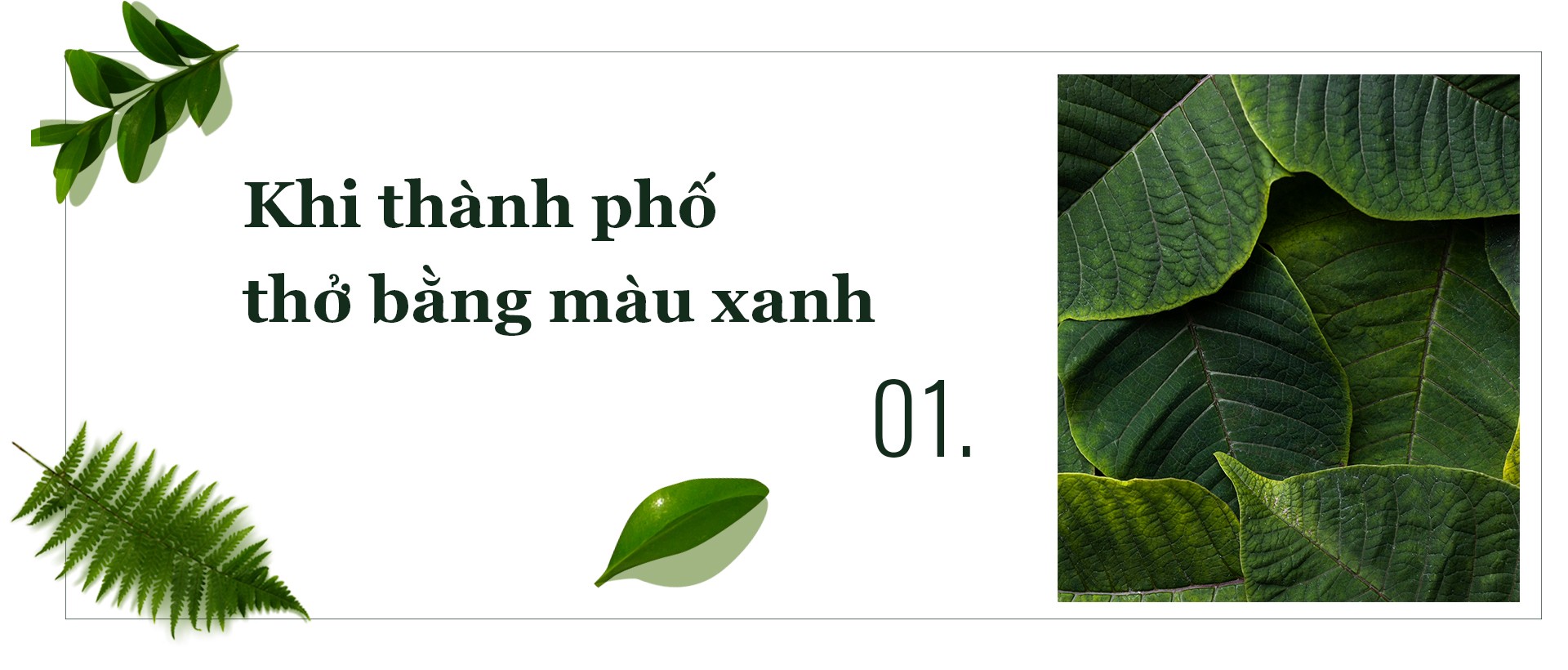 Tái thiết không gian xanh cho Hà Nội: Những mảng màu cần được nối lại