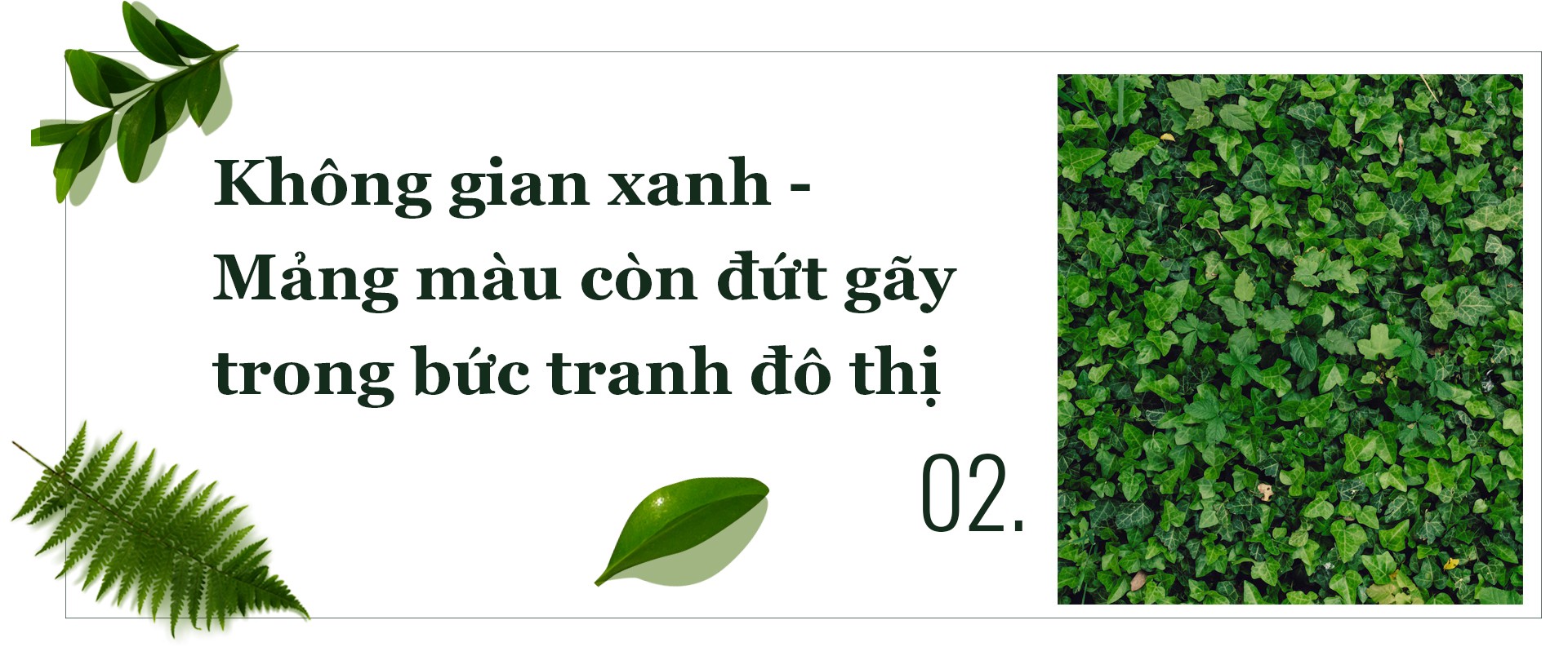 Tái thiết không gian xanh cho Hà Nội: Những mảng màu cần được nối lại