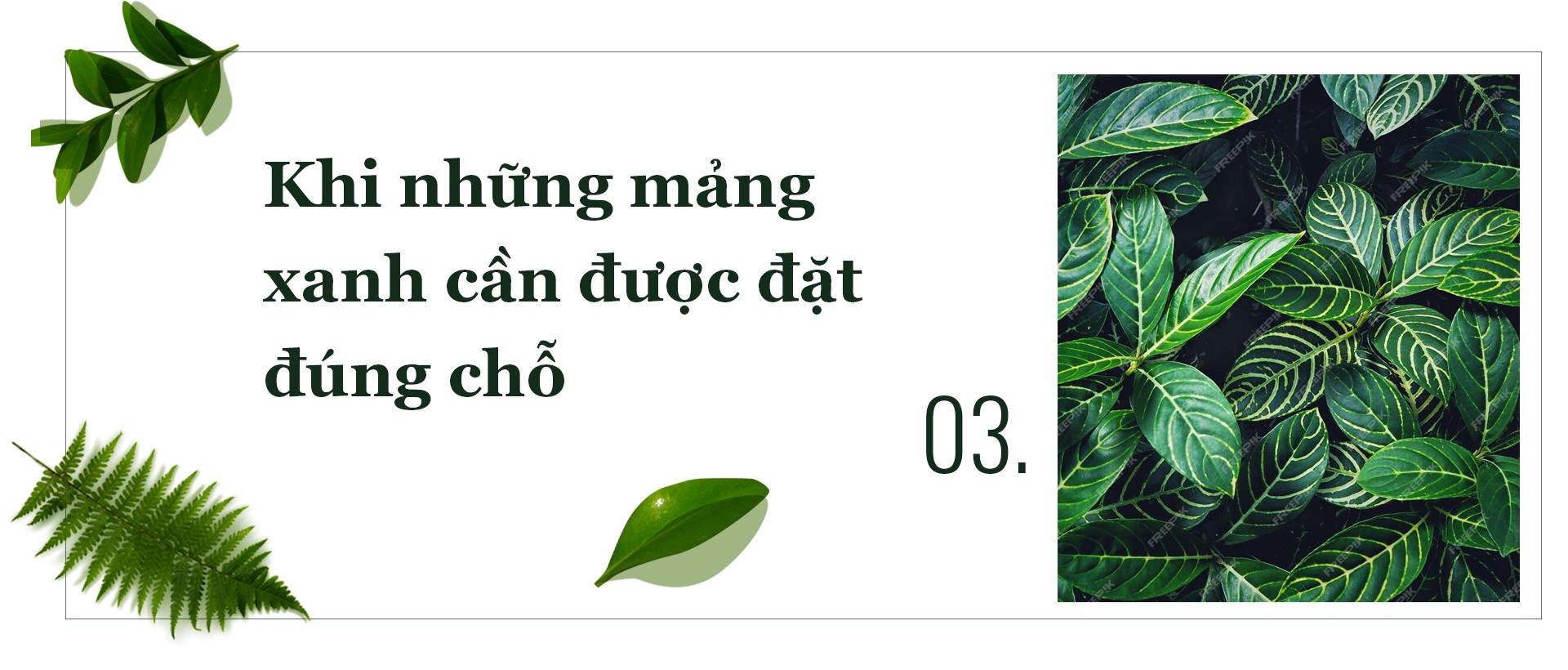 Tái thiết không gian xanh cho Hà Nội: Những mảng màu cần được nối lại