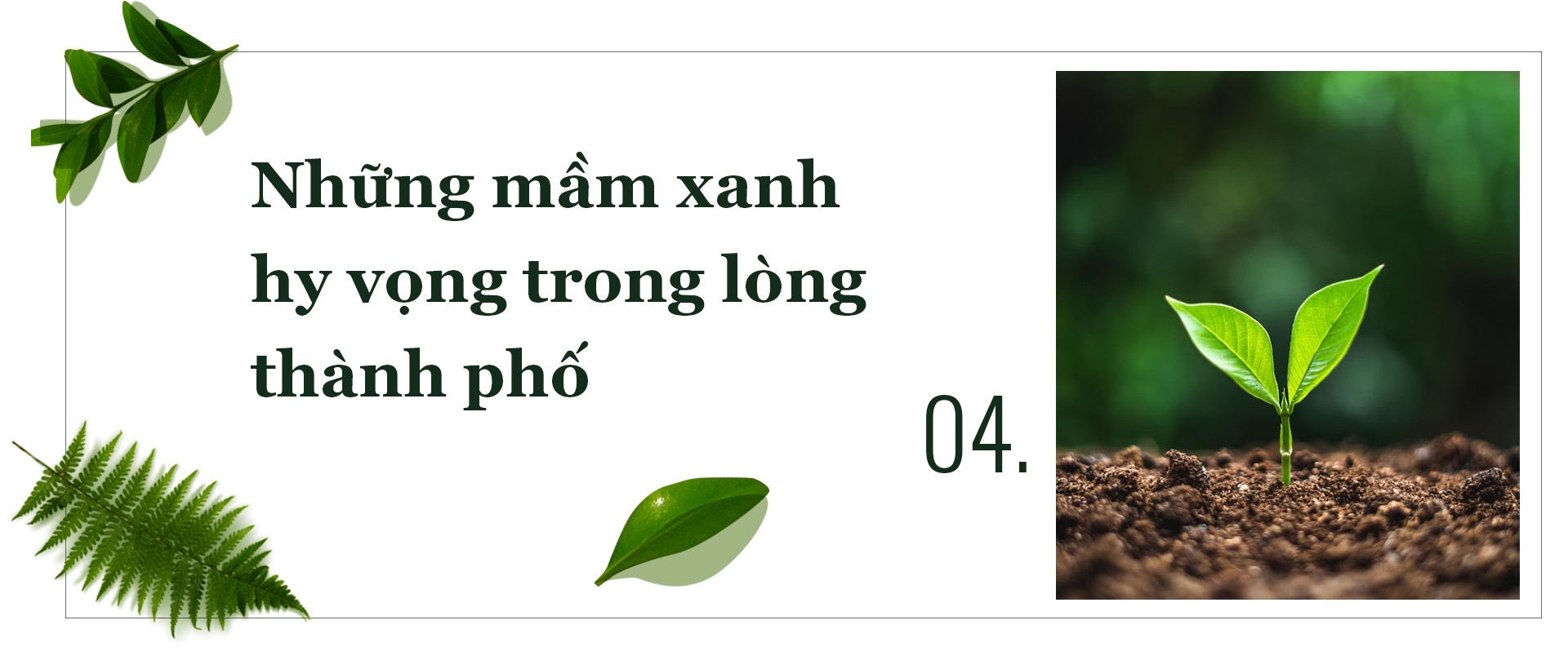 Tái thiết không gian xanh cho Hà Nội: Những mảng màu cần được nối lại