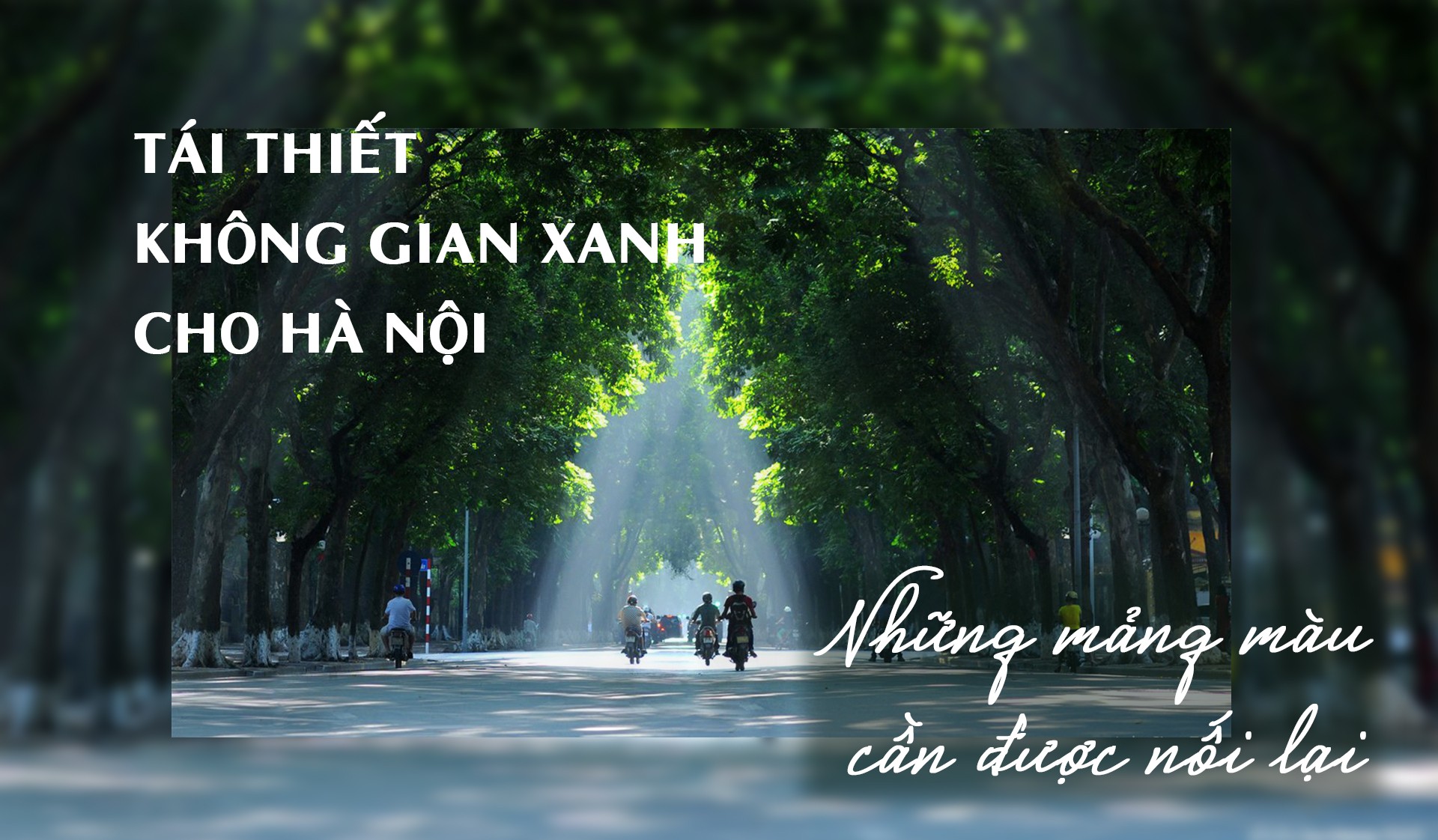 Tái thiết không gian xanh cho Hà Nội: Những mảng màu cần được nối lại