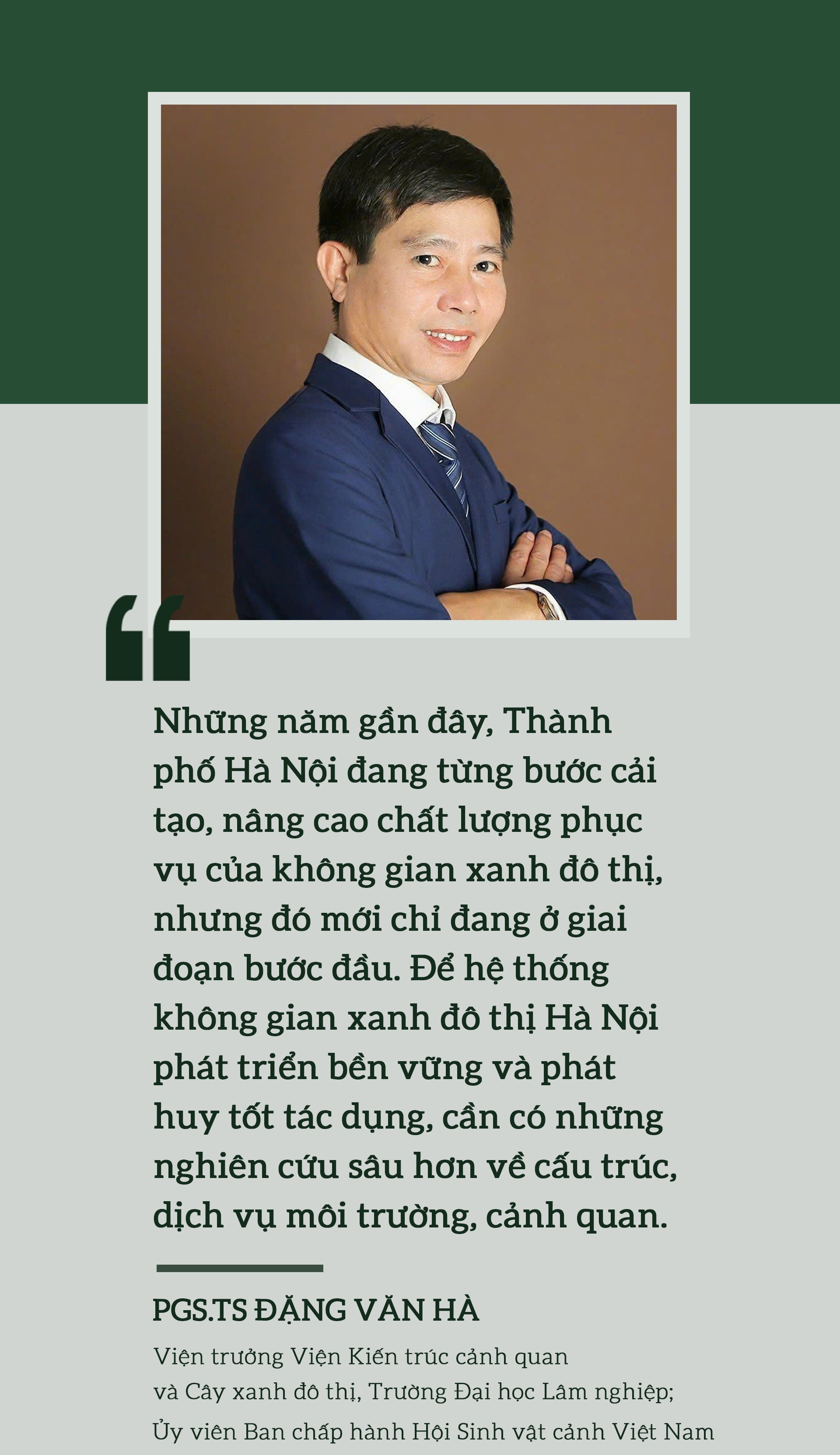 Tái thiết không gian xanh cho Hà Nội: Những mảng màu cần được nối lại